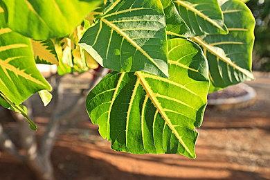 Roguelike动作游戏《Metallic Child》9月16日发售 支持中文