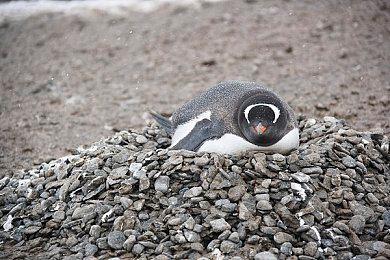 《eFootball 2022》1.0.0更新4月14日上线 更新日志放出